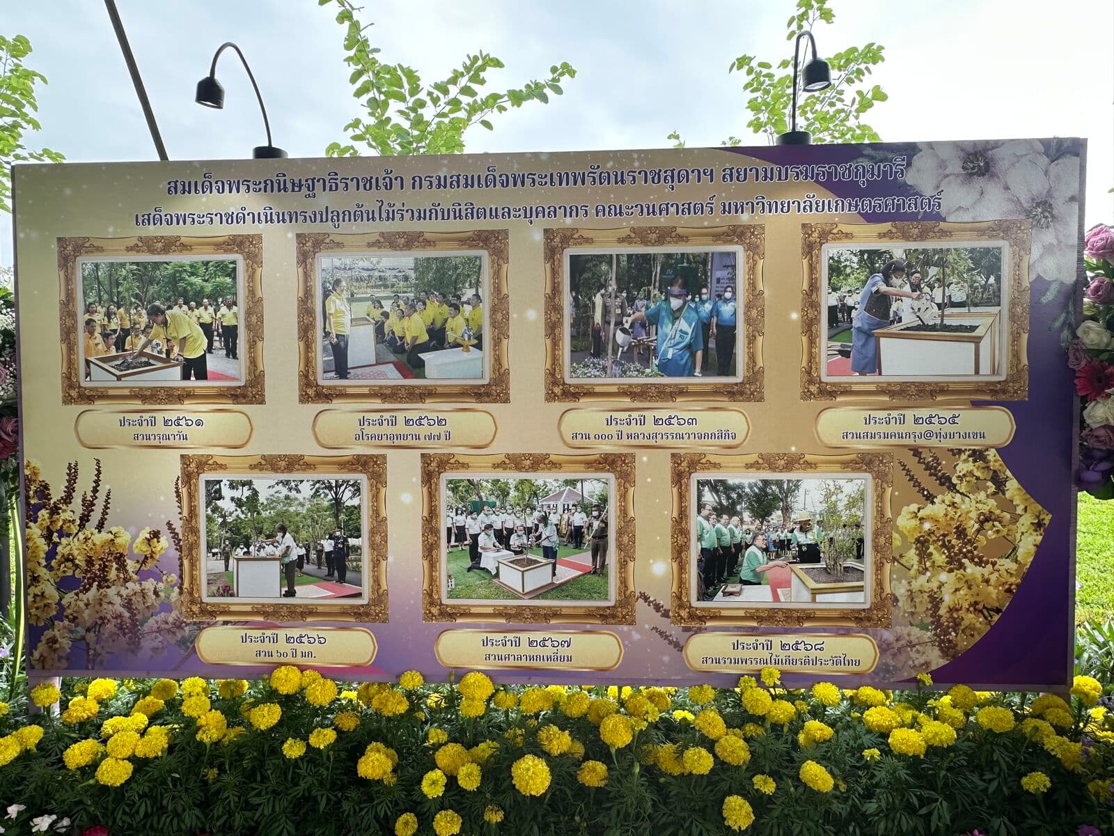 "เห็ดโกงกางจิ๋วสิรินธร" เห็ดชนิดใหม่ของโลก จากป่าชายเลนไทย สู่นิทรรศการรับเสด็จฯ