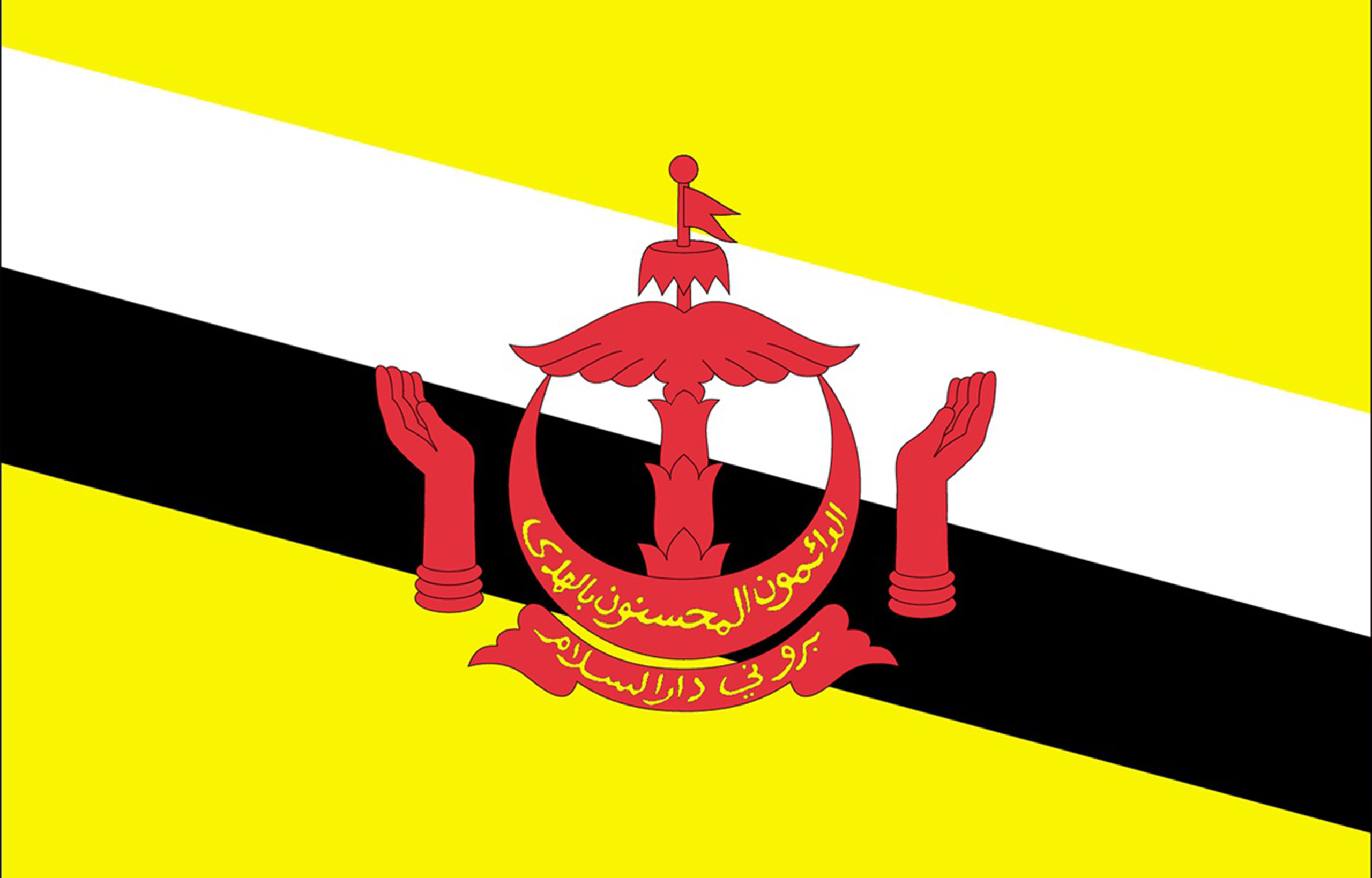 Flag_of_brunei
