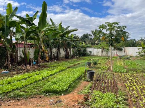 PMCA-laos-visit-11