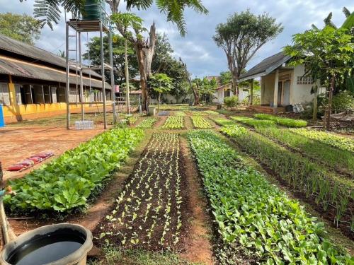 PMCA-laos-visit-7